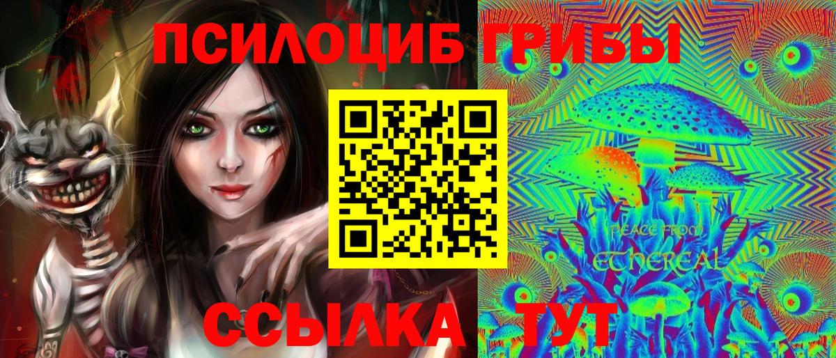 Галлюциногенные грибы Cubensis Чистополь