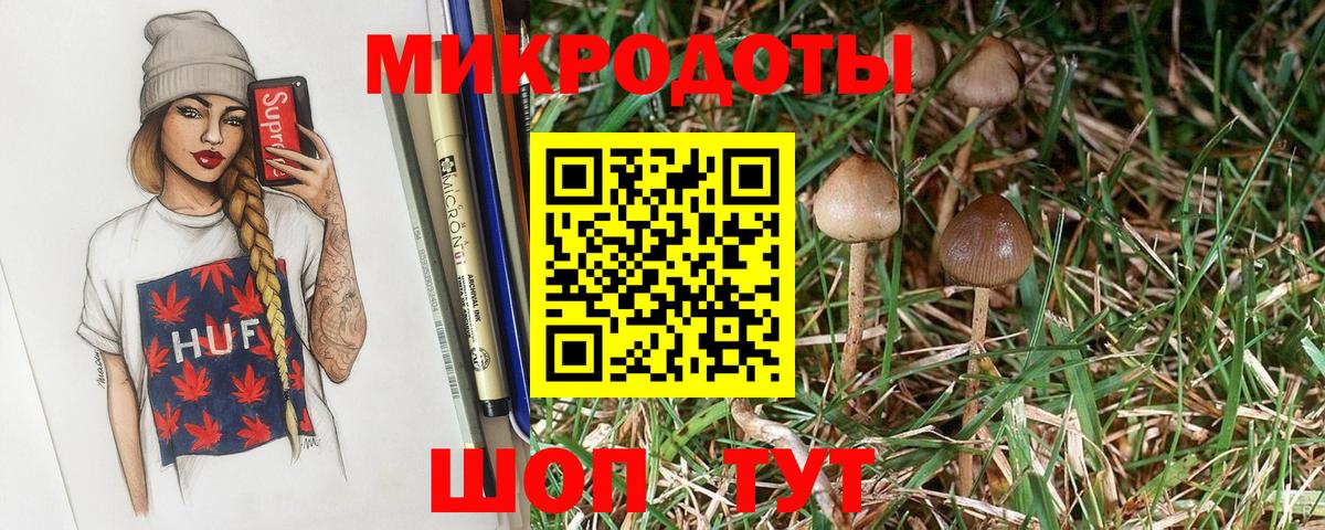 Галлюциногенные грибы MAGIC MUSHROOMS  купить наркоту  Чистополь  Вход с VPN 